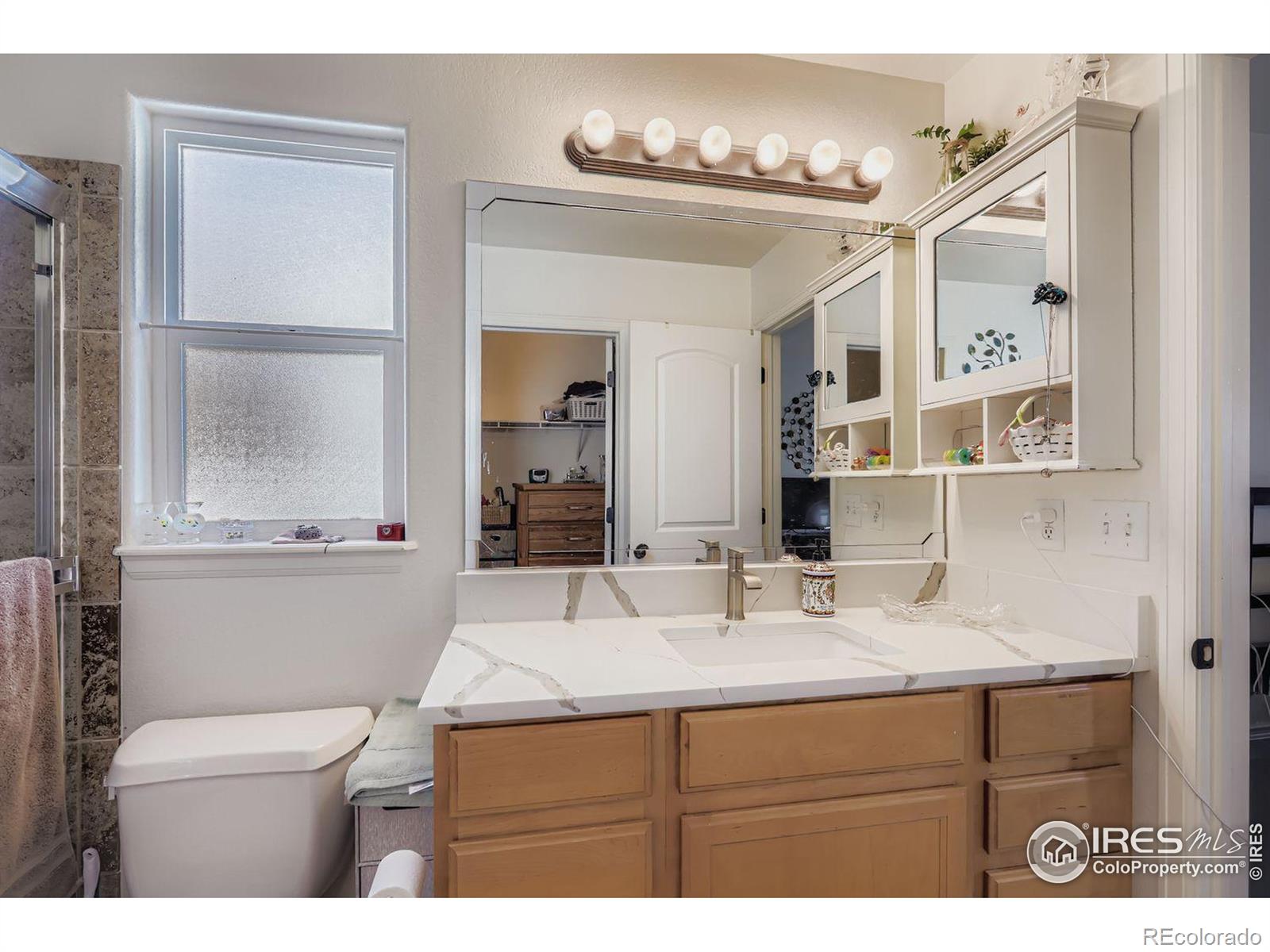 MLS Image #14 for 16022  ginger avenue,mead, Colorado