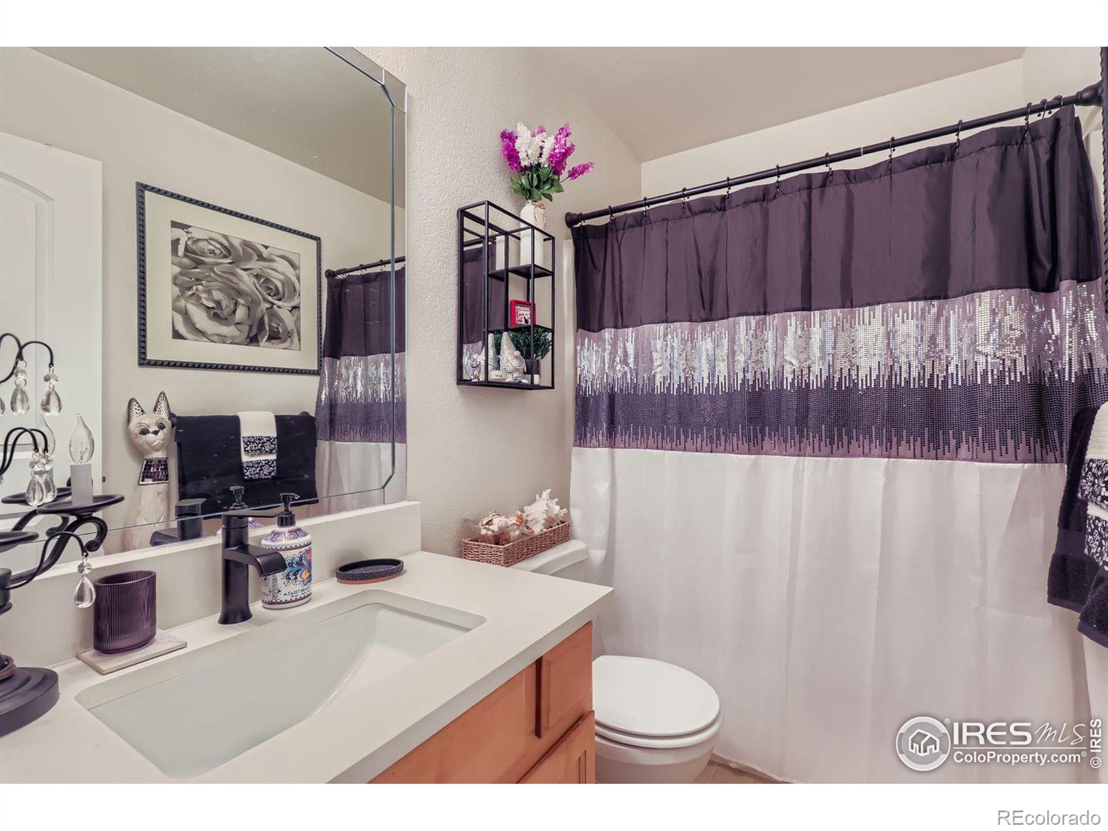 MLS Image #17 for 16022  ginger avenue,mead, Colorado