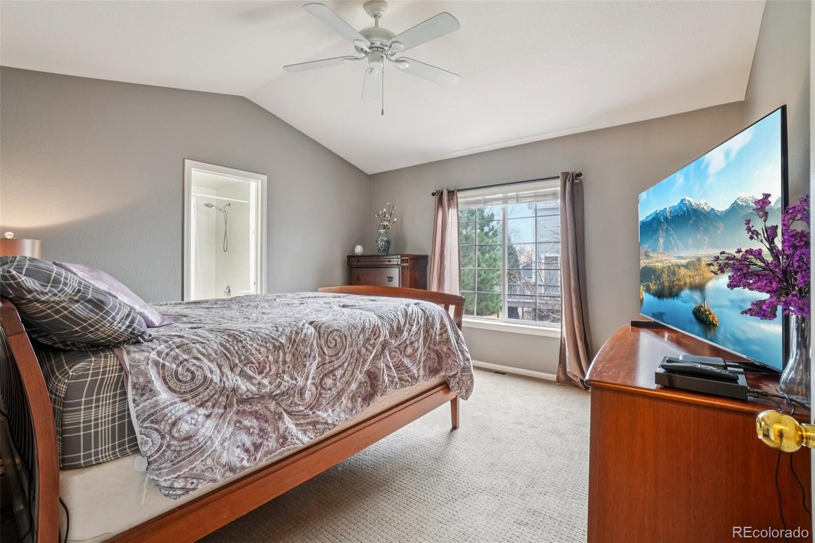 MLS Image #12 for 4357 s jebel lane,centennial, Colorado
