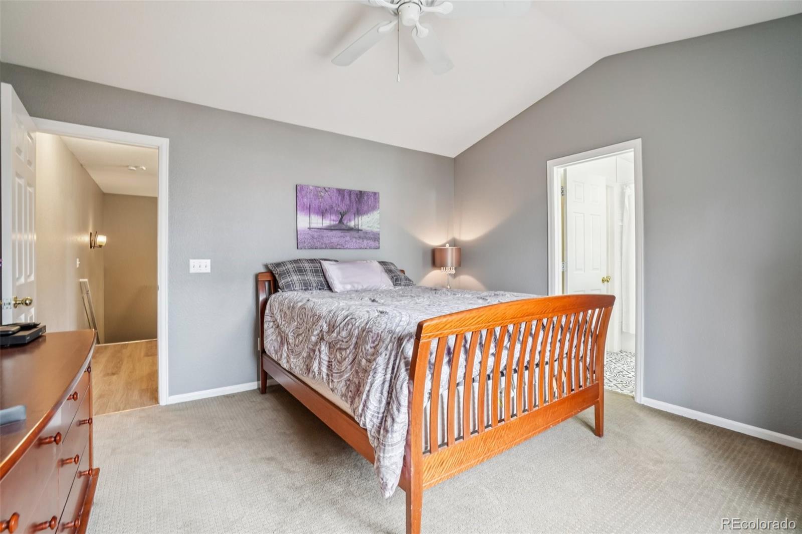 MLS Image #13 for 4357 s jebel lane,centennial, Colorado