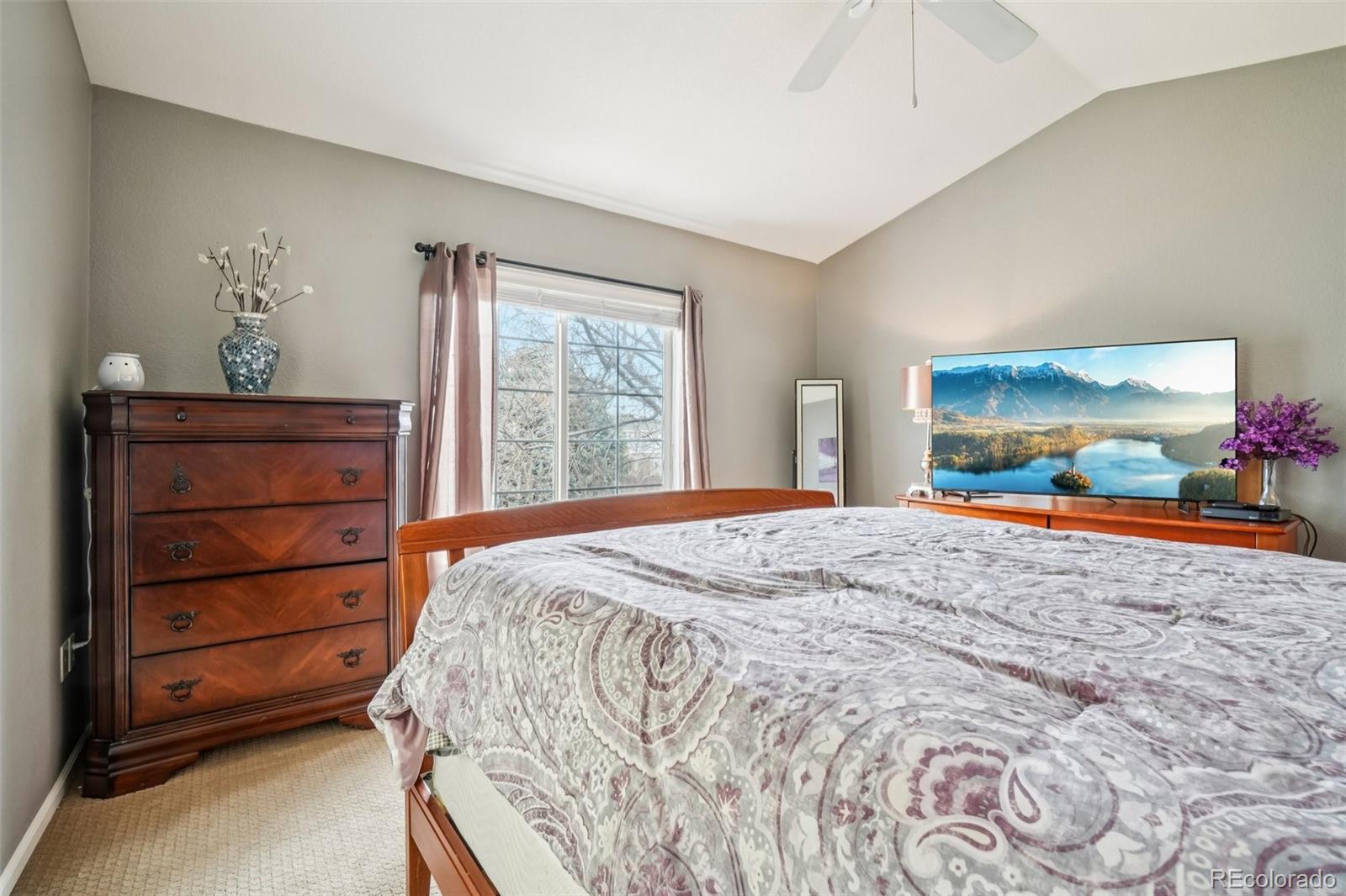 MLS Image #14 for 4357 s jebel lane,centennial, Colorado