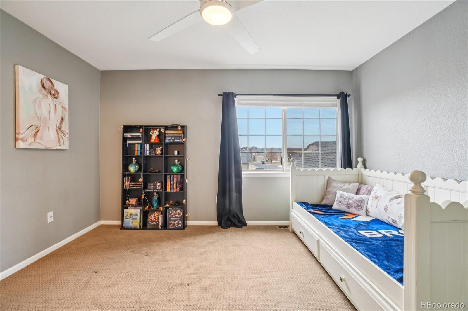 MLS Image #19 for 4357 s jebel lane,centennial, Colorado