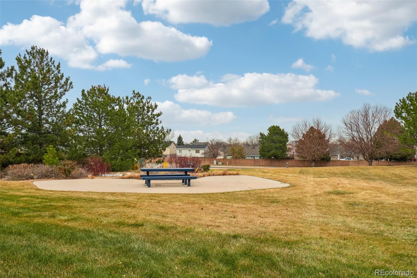 MLS Image #29 for 4357 s jebel lane,centennial, Colorado