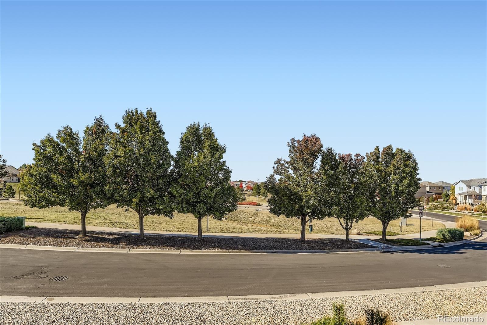 MLS Image #23 for 11733  crestop way,parker, Colorado