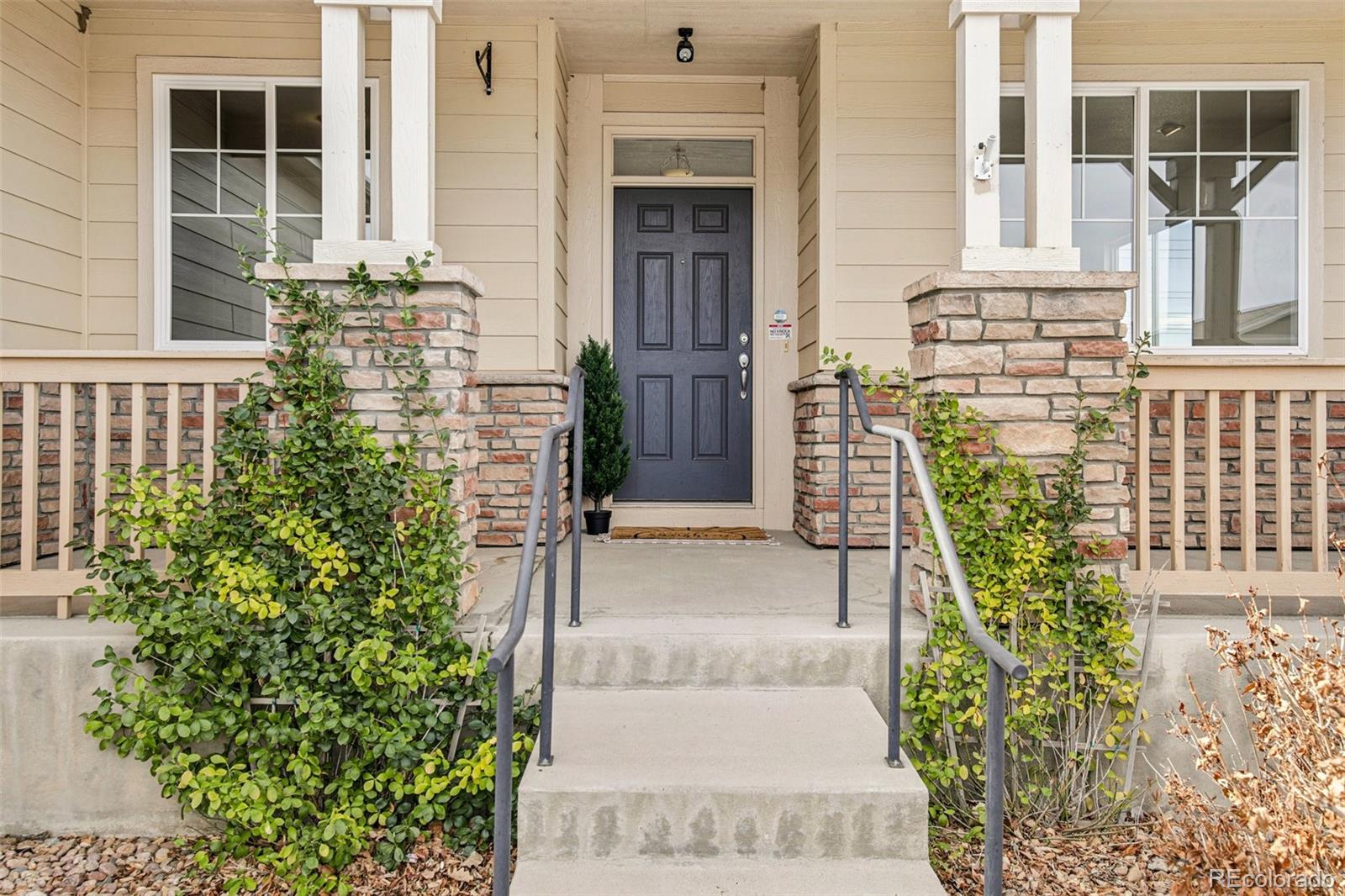 MLS Image #1 for 3878  desert ridge circle,castle rock, Colorado