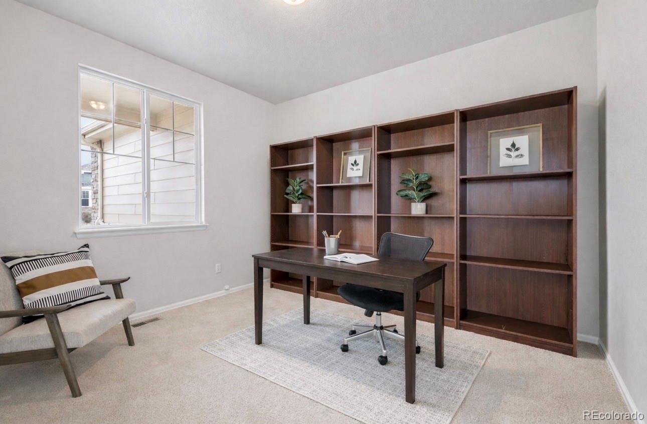 MLS Image #12 for 3878  desert ridge circle,castle rock, Colorado