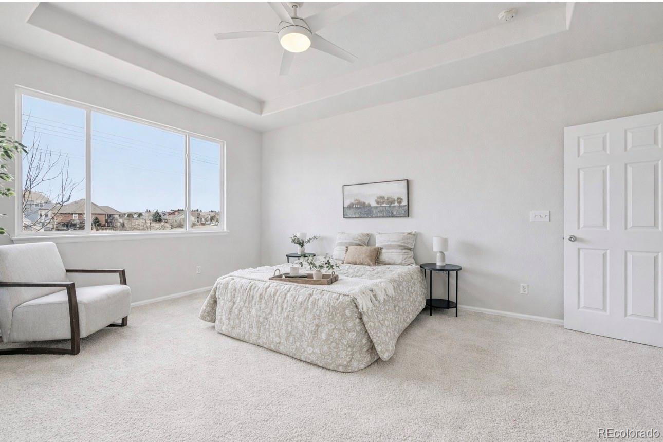 MLS Image #16 for 3878  desert ridge circle,castle rock, Colorado