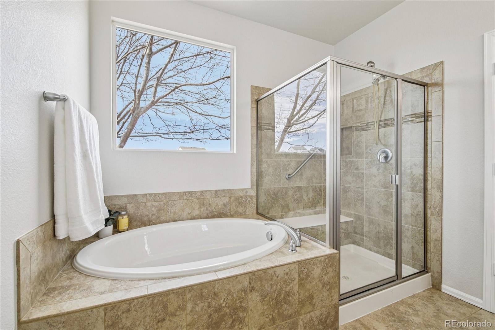 MLS Image #18 for 3878  desert ridge circle,castle rock, Colorado