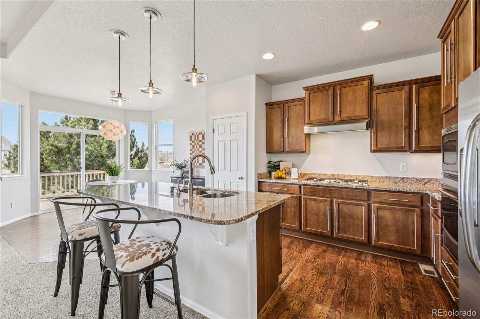 MLS Image #2 for 3878  desert ridge circle,castle rock, Colorado