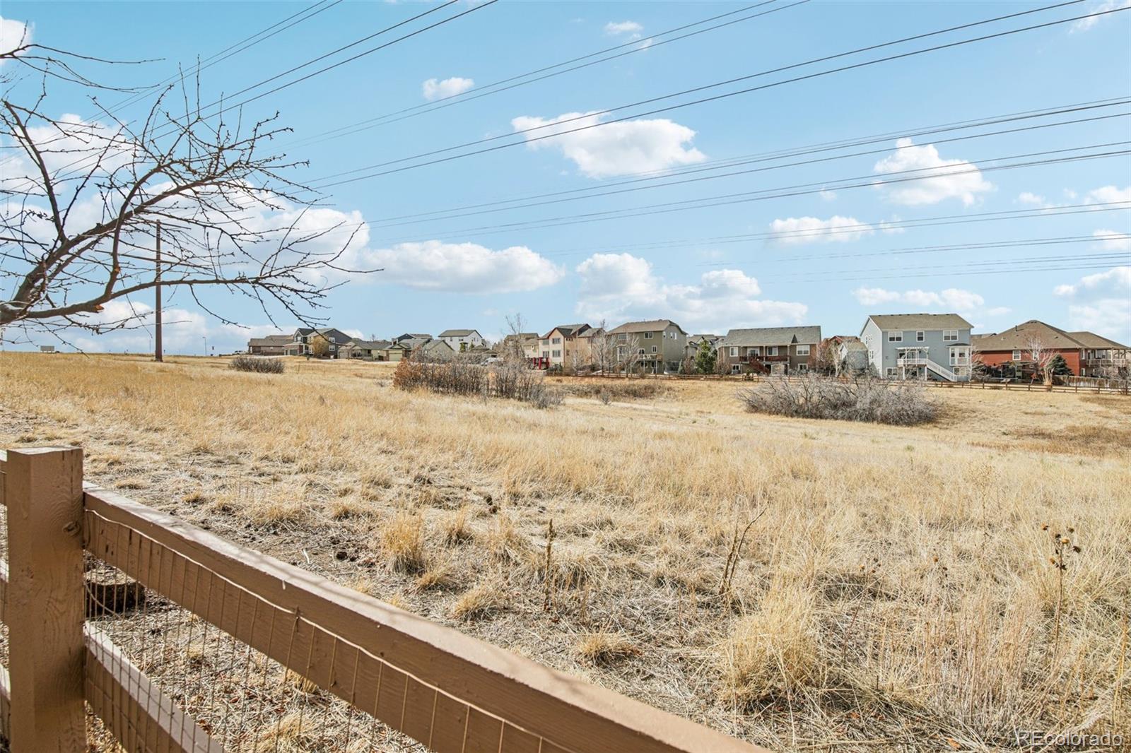 MLS Image #30 for 3878  desert ridge circle,castle rock, Colorado