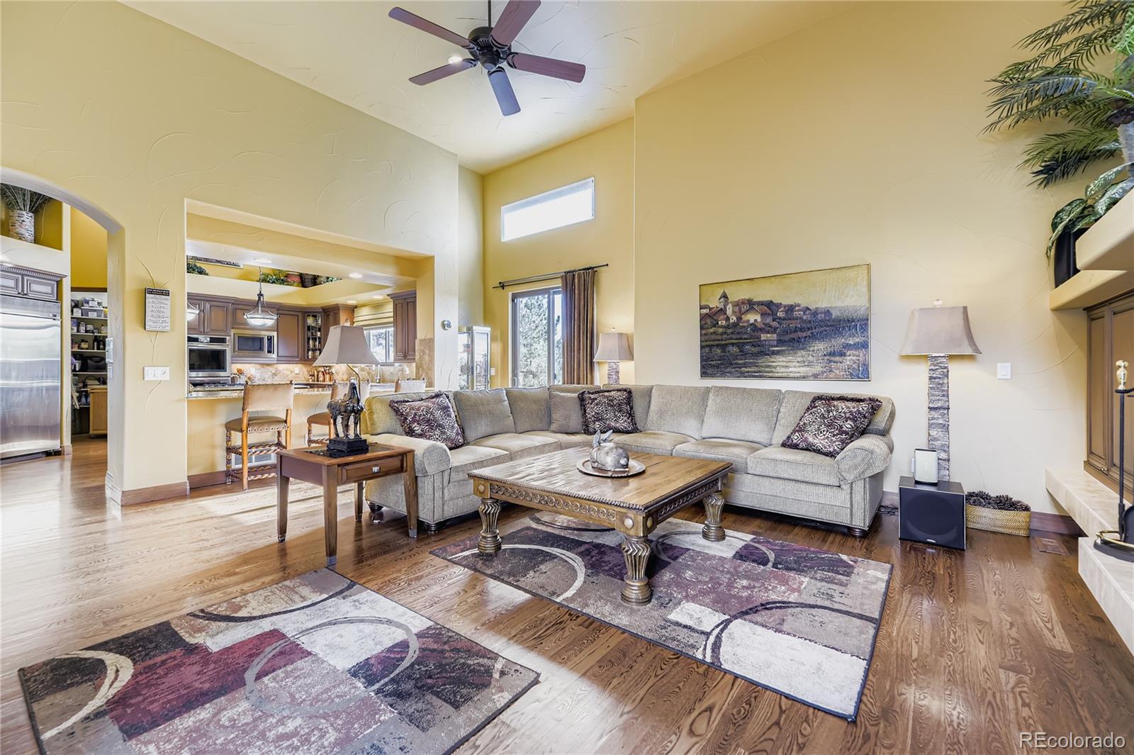 MLS Image #10 for 11331  bell cross circle,parker, Colorado