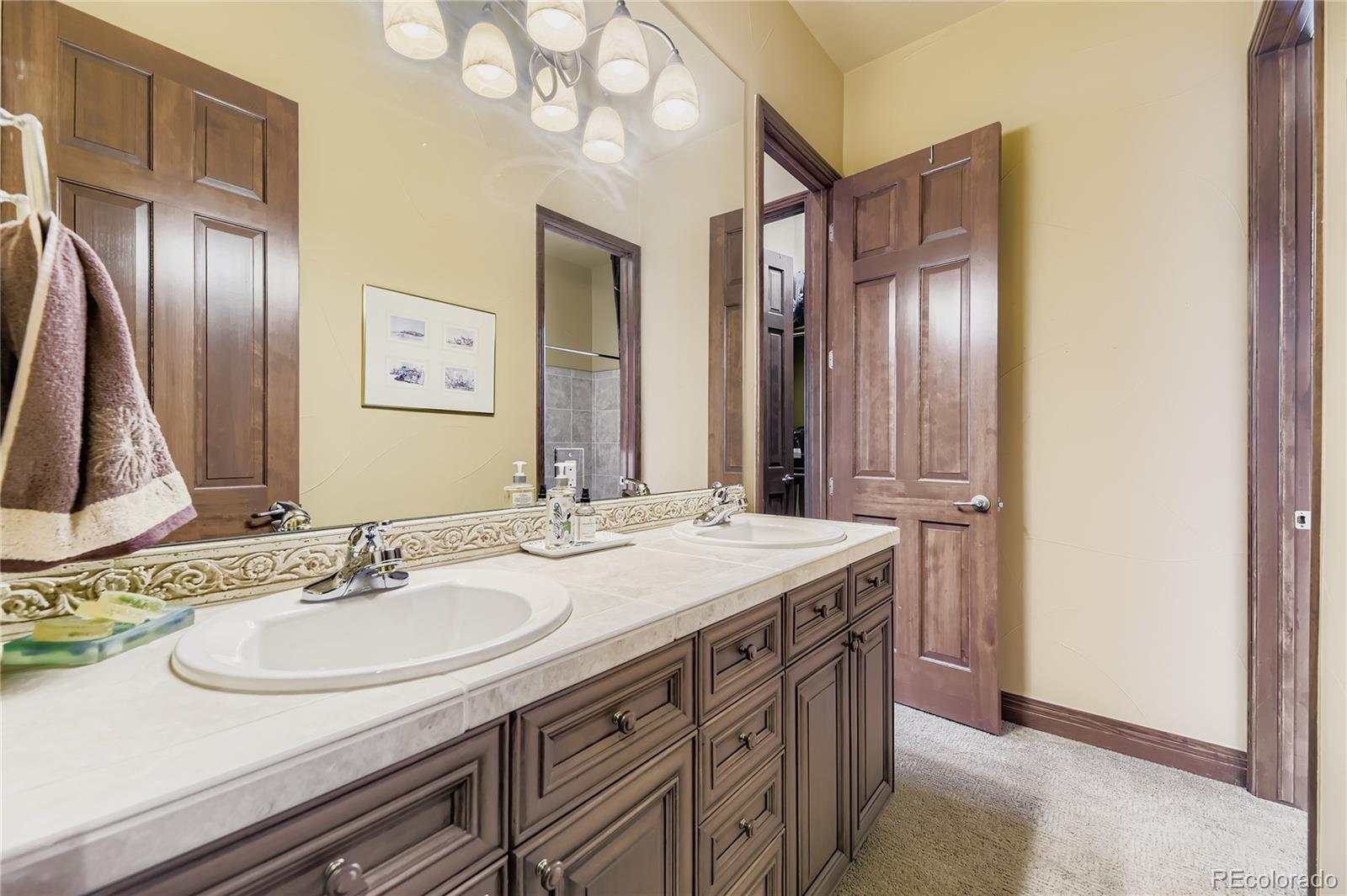 MLS Image #20 for 11331  bell cross circle,parker, Colorado