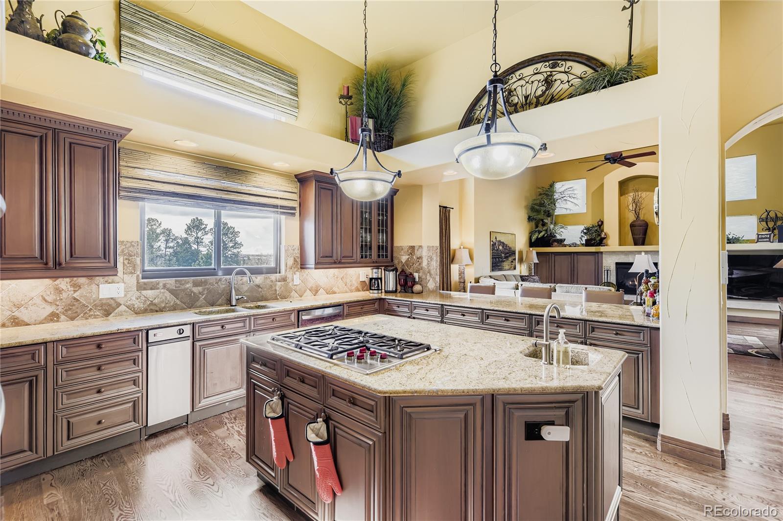 MLS Image #7 for 11331  bell cross circle,parker, Colorado