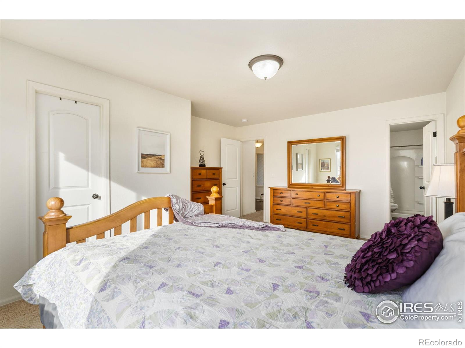 MLS Image #19 for 1555  new season drive,windsor, Colorado