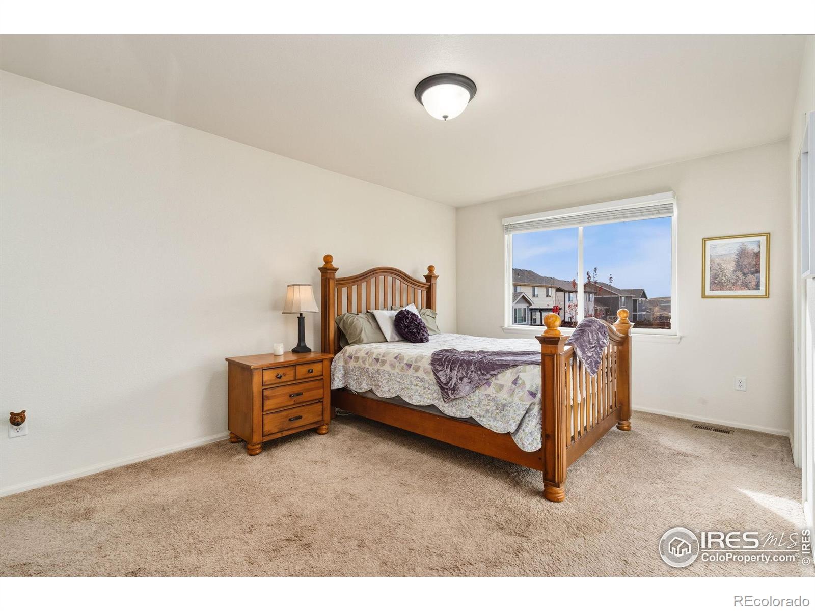 MLS Image #20 for 1555  new season drive,windsor, Colorado