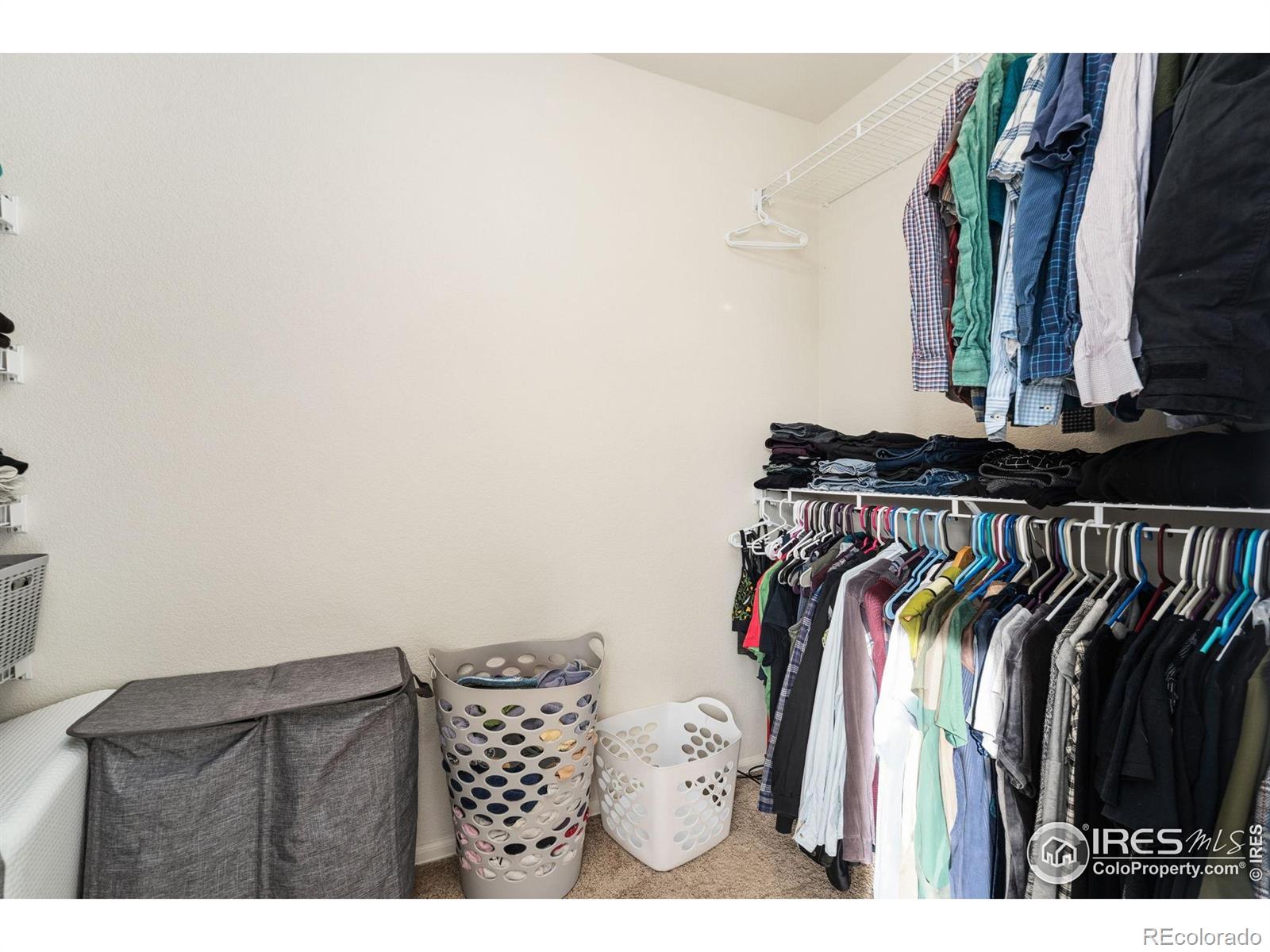 MLS Image #22 for 1555  new season drive,windsor, Colorado