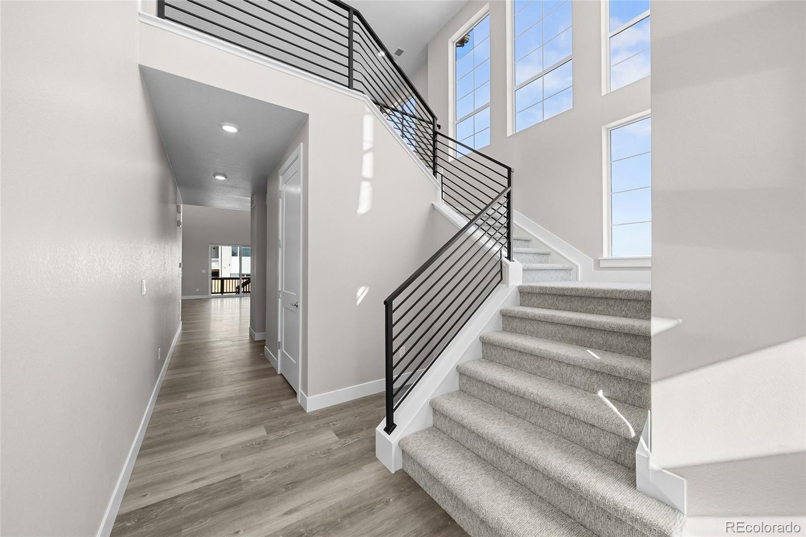 MLS Image #7 for 8691  pennycress drive,littleton, Colorado