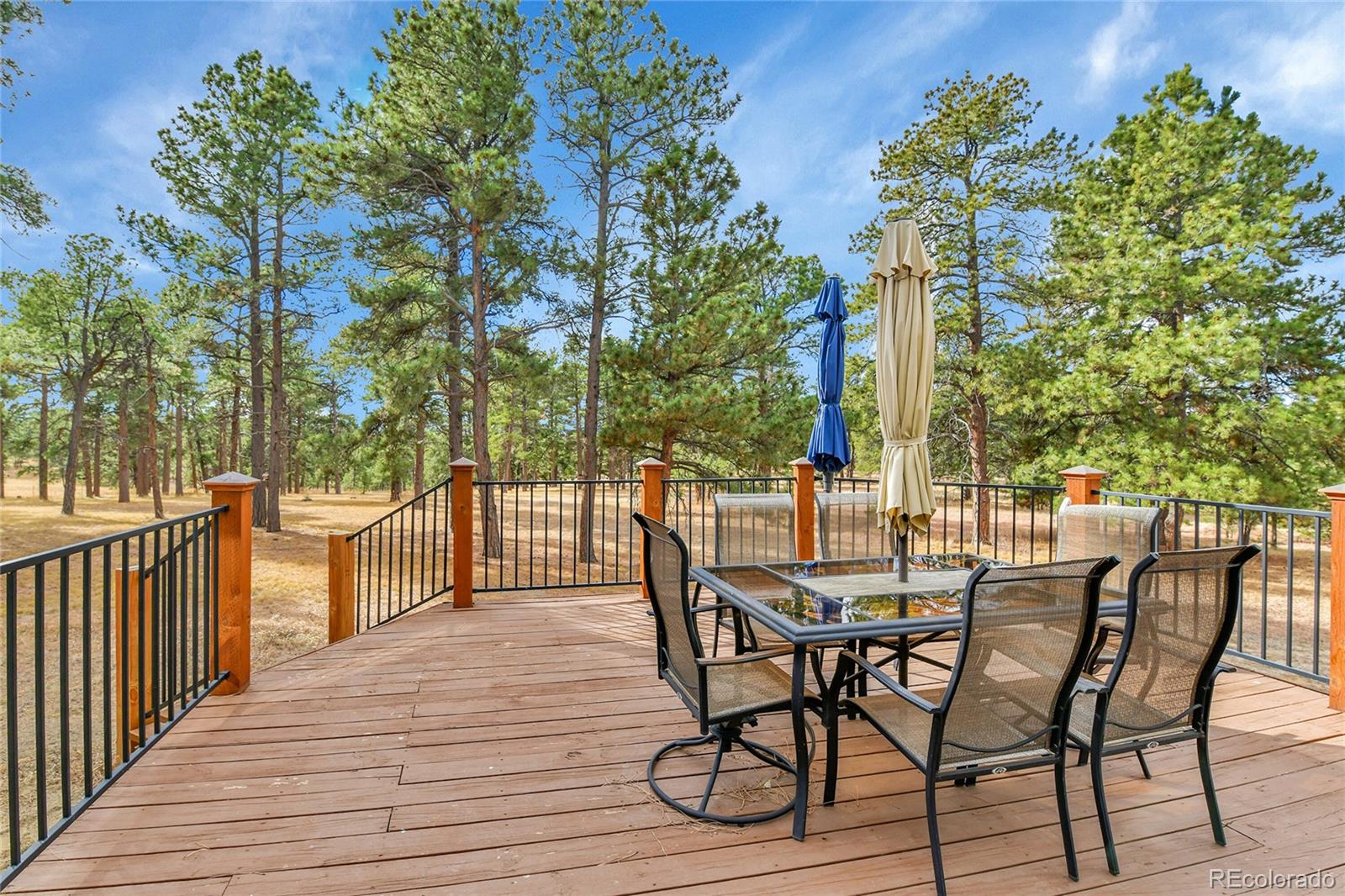 MLS Image #42 for 4980  black fox circle,elizabeth, Colorado