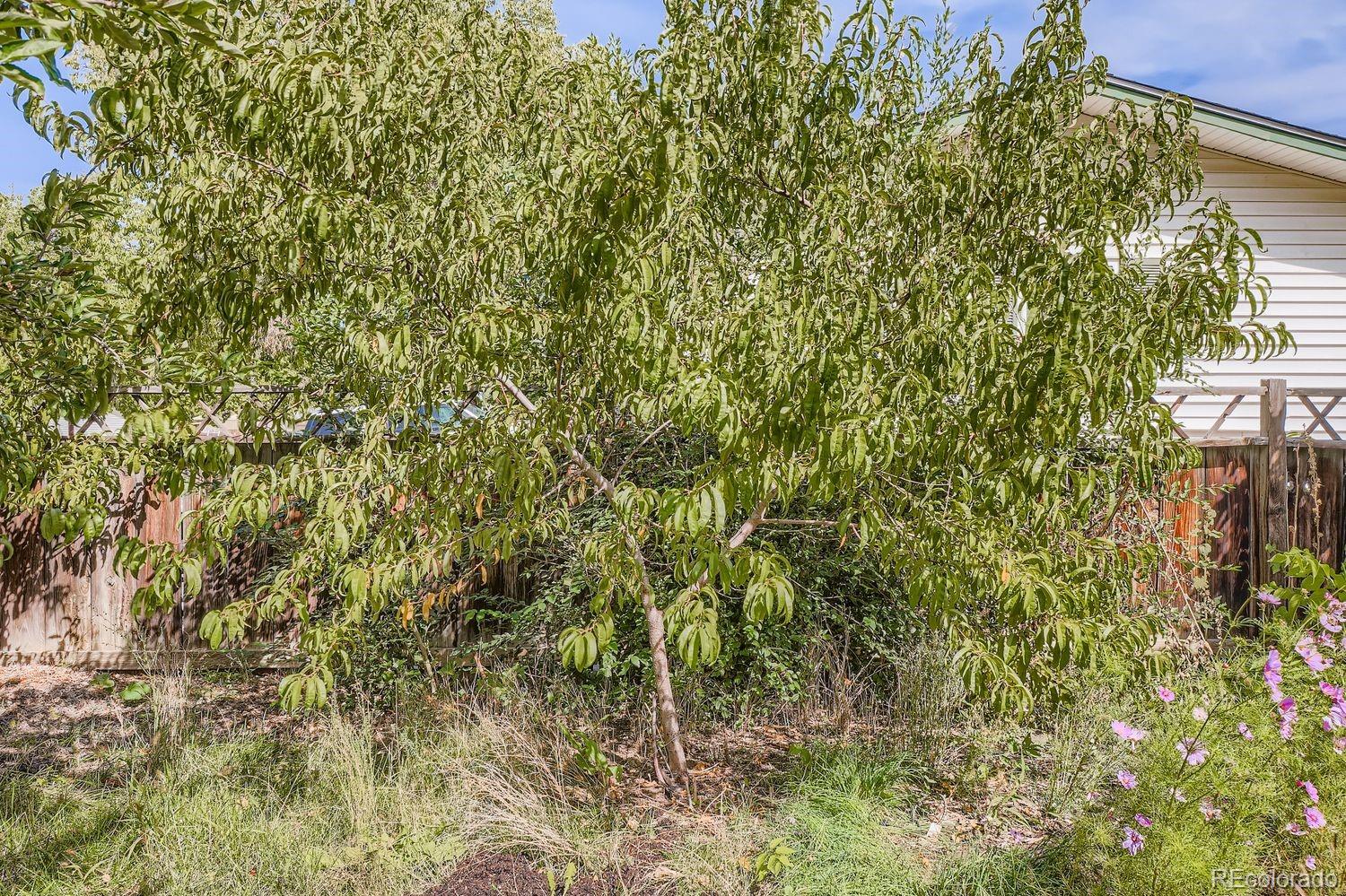 MLS Image #12 for 1190  norfolk street,aurora, Colorado