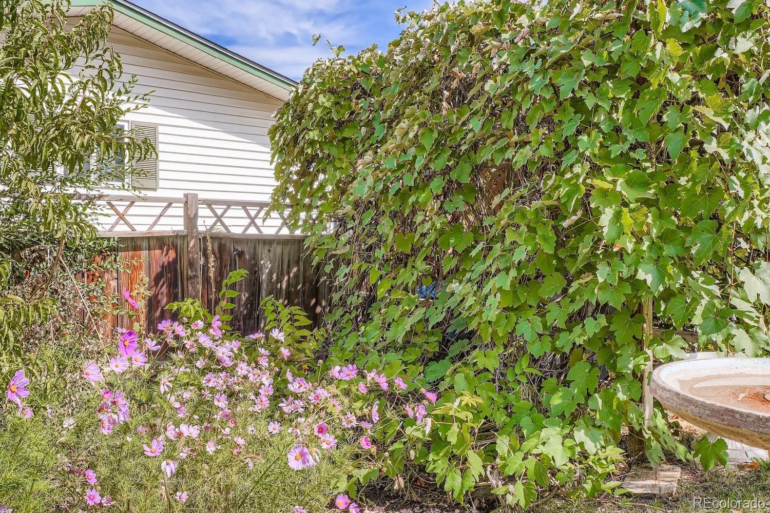 MLS Image #13 for 1190  norfolk street,aurora, Colorado