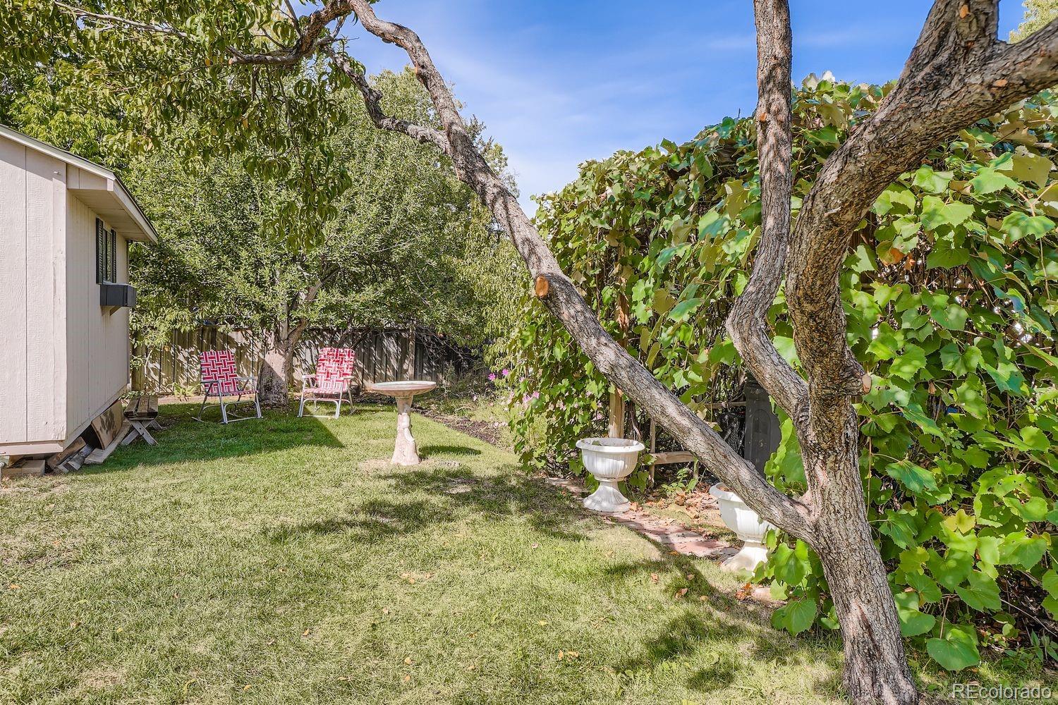 MLS Image #14 for 1190  norfolk street,aurora, Colorado