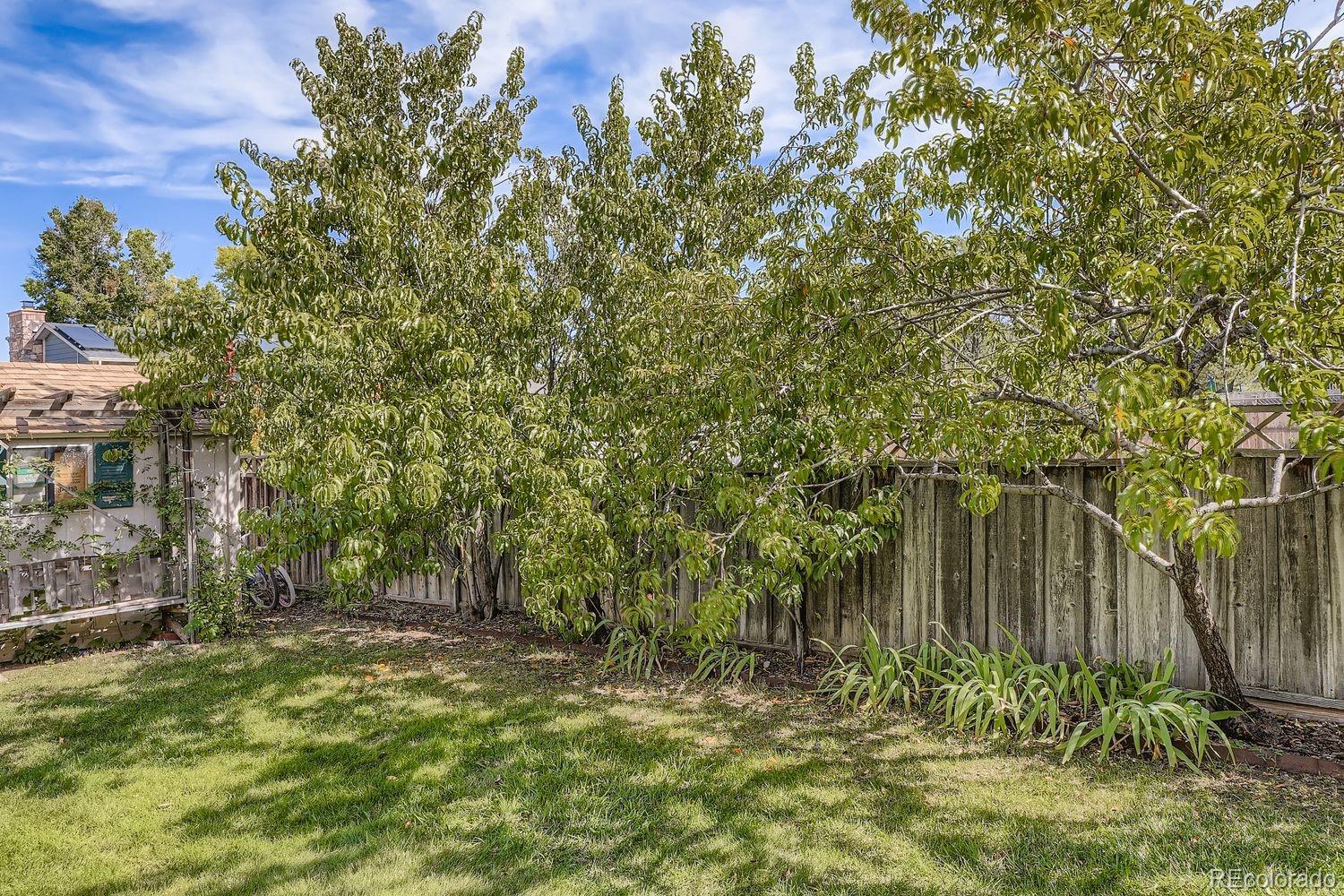 MLS Image #15 for 1190  norfolk street,aurora, Colorado