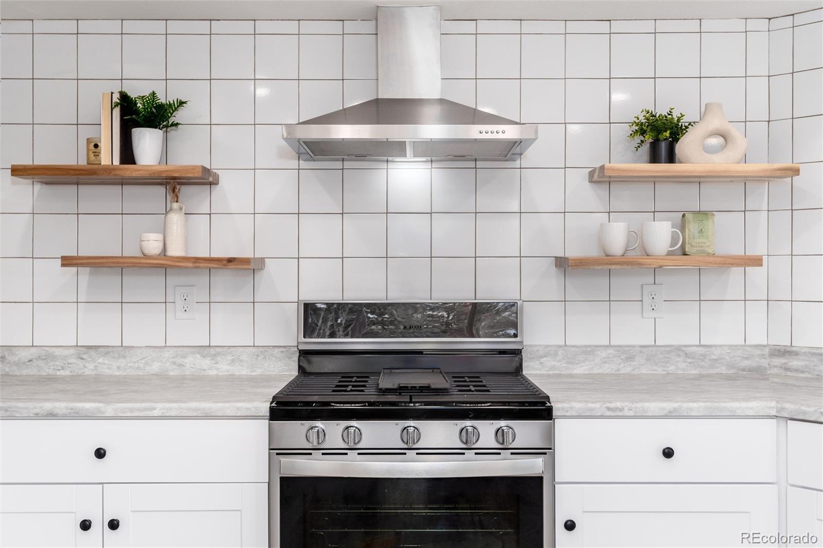 MLS Image #10 for 4681  iran street,denver, Colorado