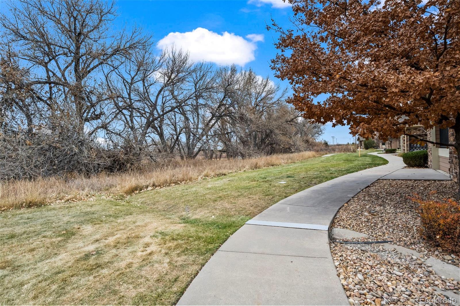 MLS Image #23 for 10787  twenty mile road 301,parker, Colorado
