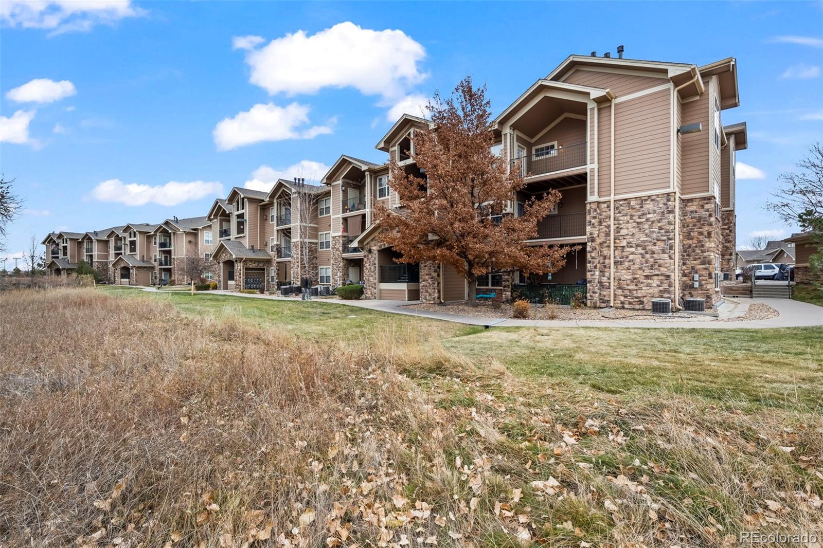 MLS Image #26 for 10787  twenty mile road 301,parker, Colorado