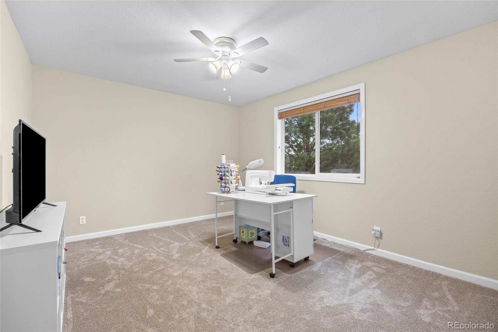 MLS Image #22 for 42865  vista ridge,parker, Colorado