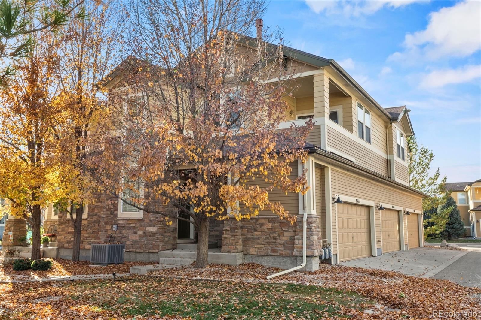 MLS Image #2 for 3814  sky gazer lane,fort collins, Colorado
