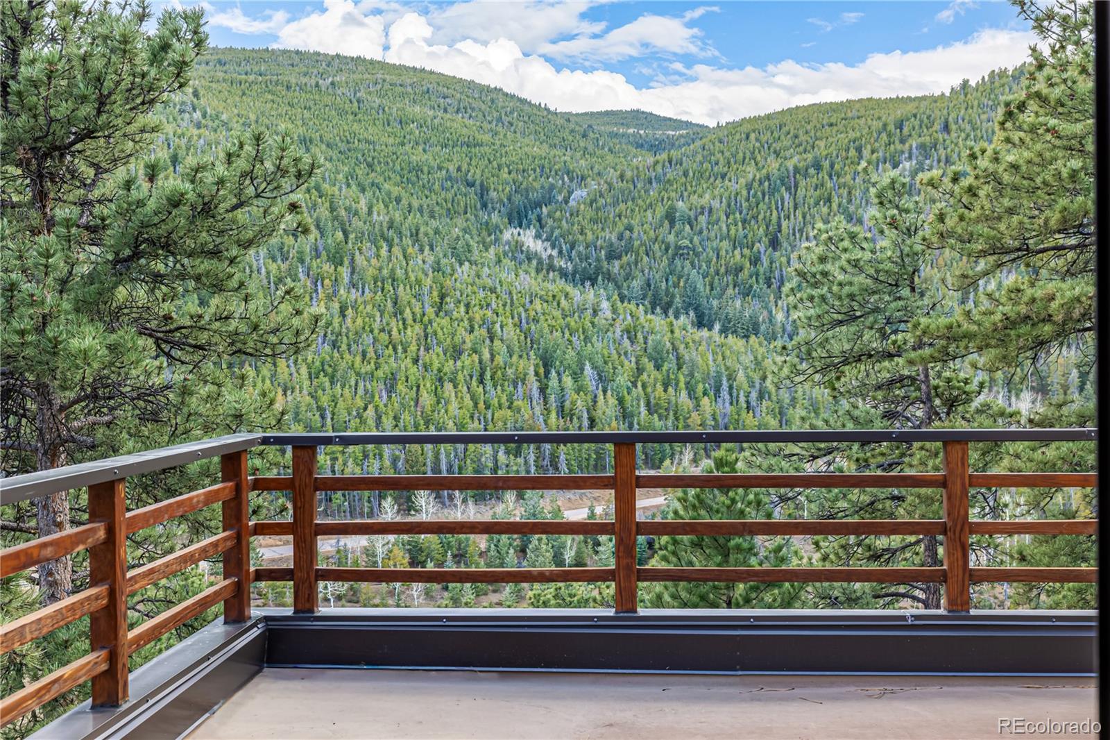 MLS Image #38 for 34357  state highway 103 ,evergreen, Colorado