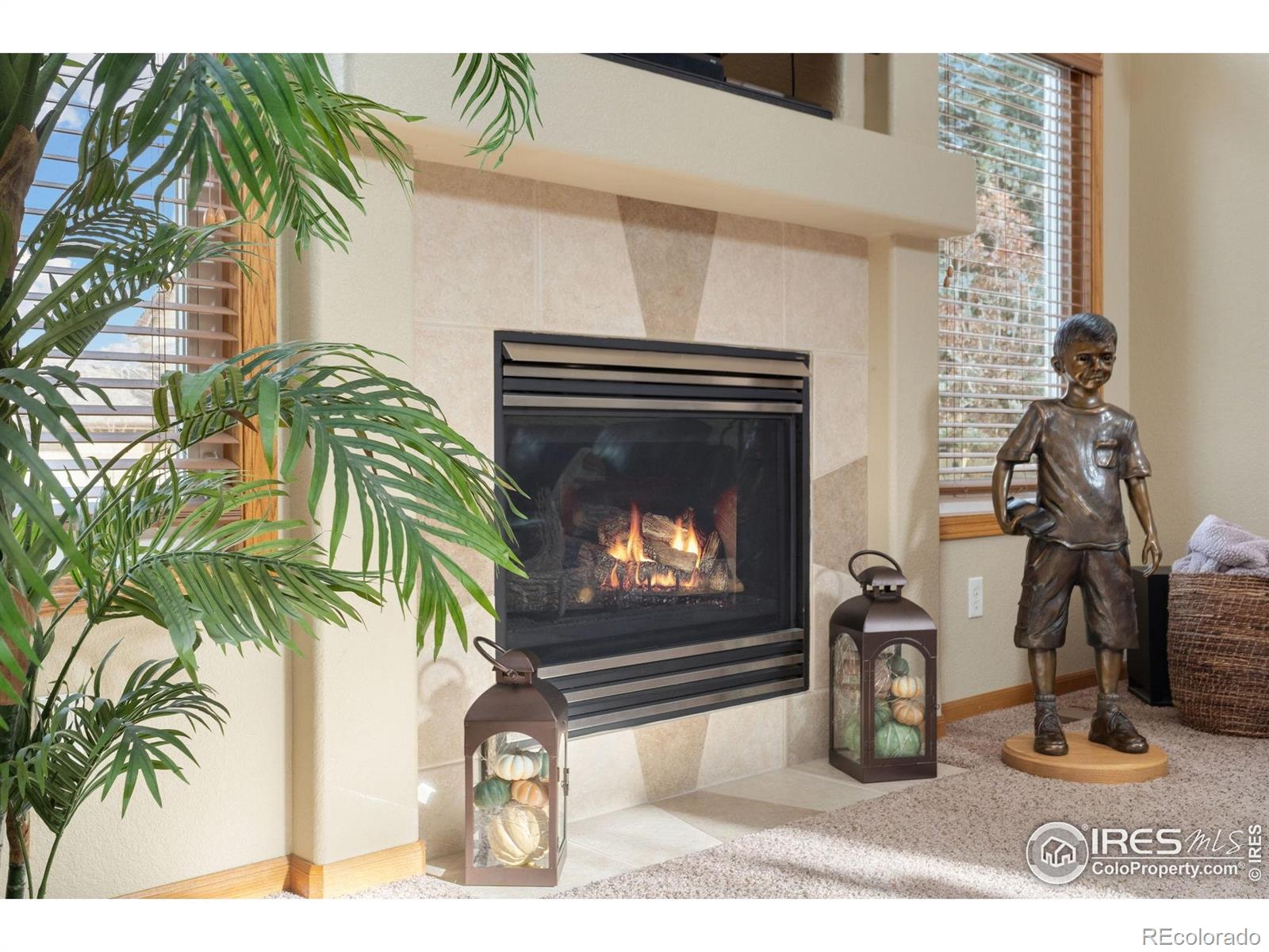 MLS Image #11 for 3414  copper spring drive,fort collins, Colorado