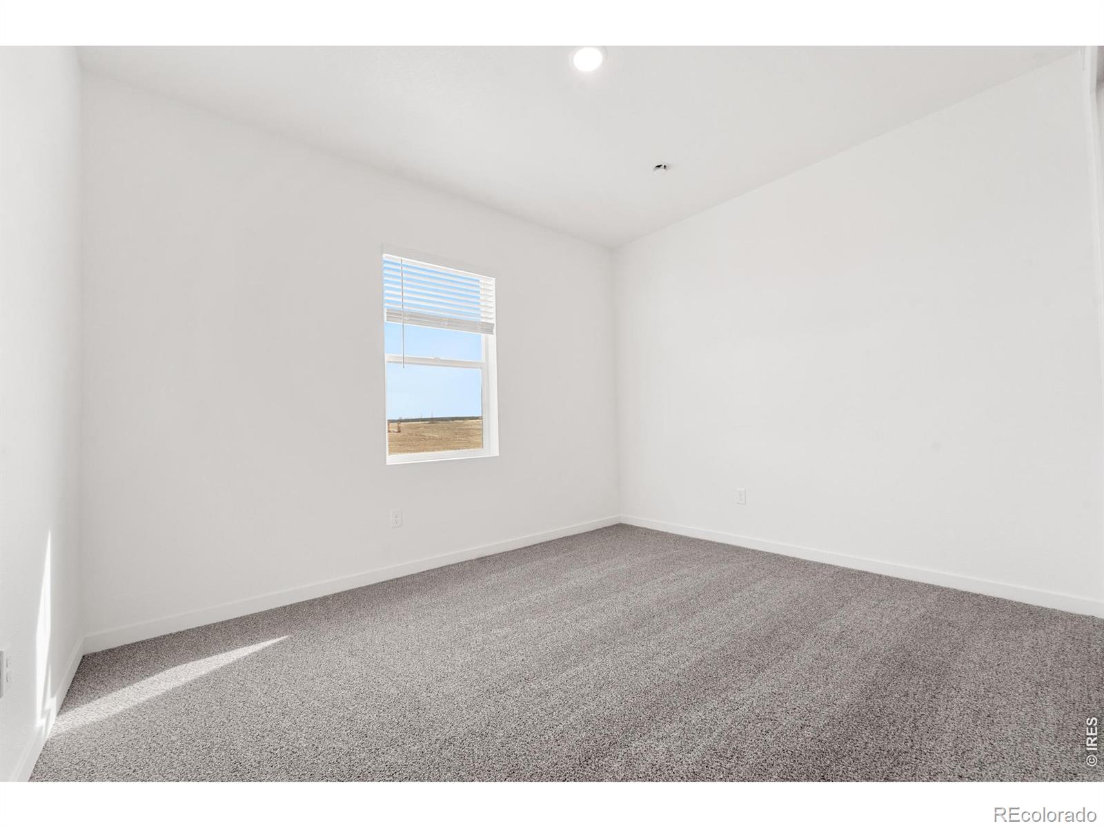 MLS Image #10 for 450  buckboard drive,hudson, Colorado