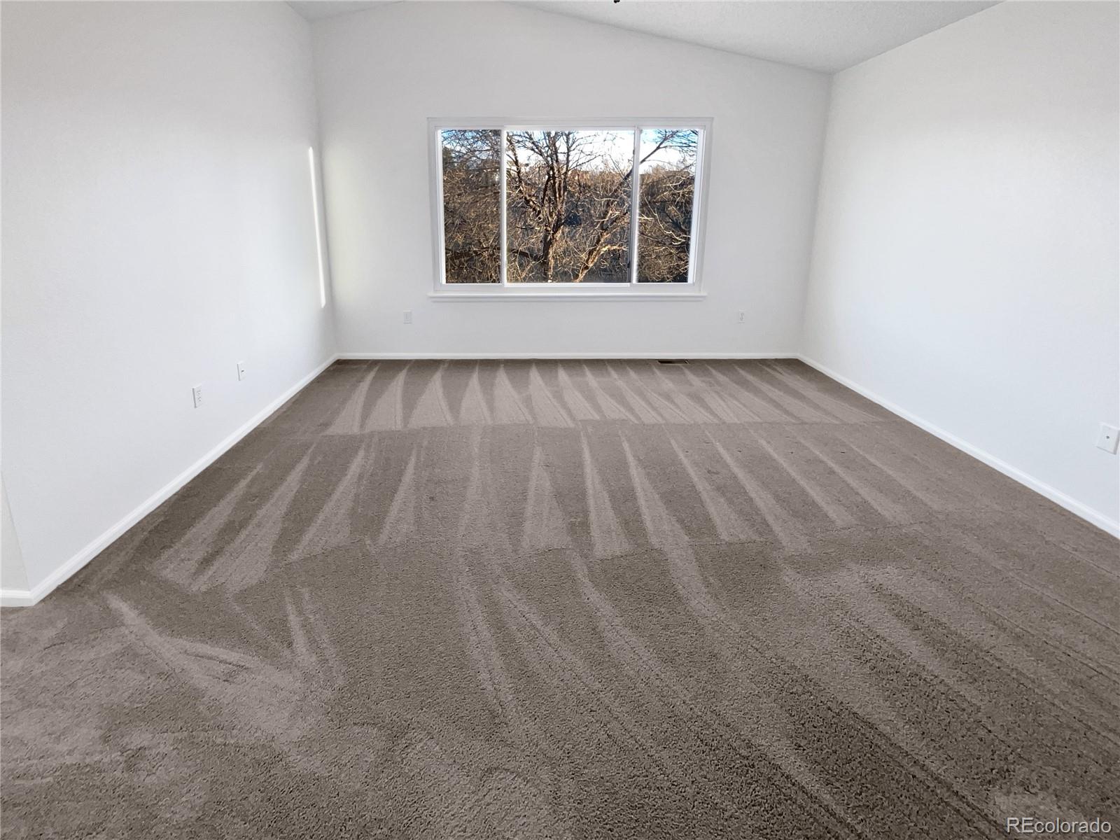 MLS Image #16 for 11086  cannonade lane,parker, Colorado