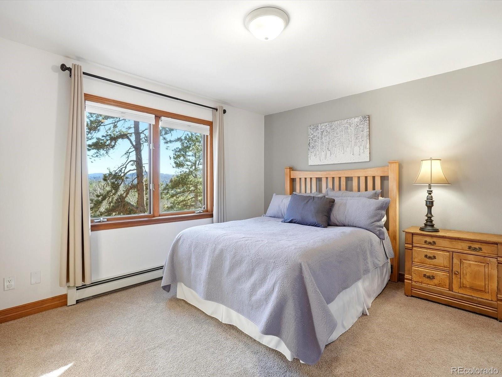 MLS Image #18 for 9808  fallen rock road,conifer, Colorado