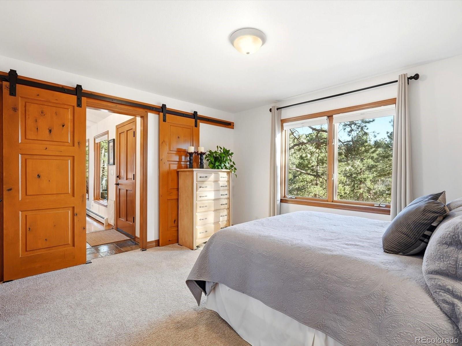MLS Image #19 for 9808  fallen rock road,conifer, Colorado