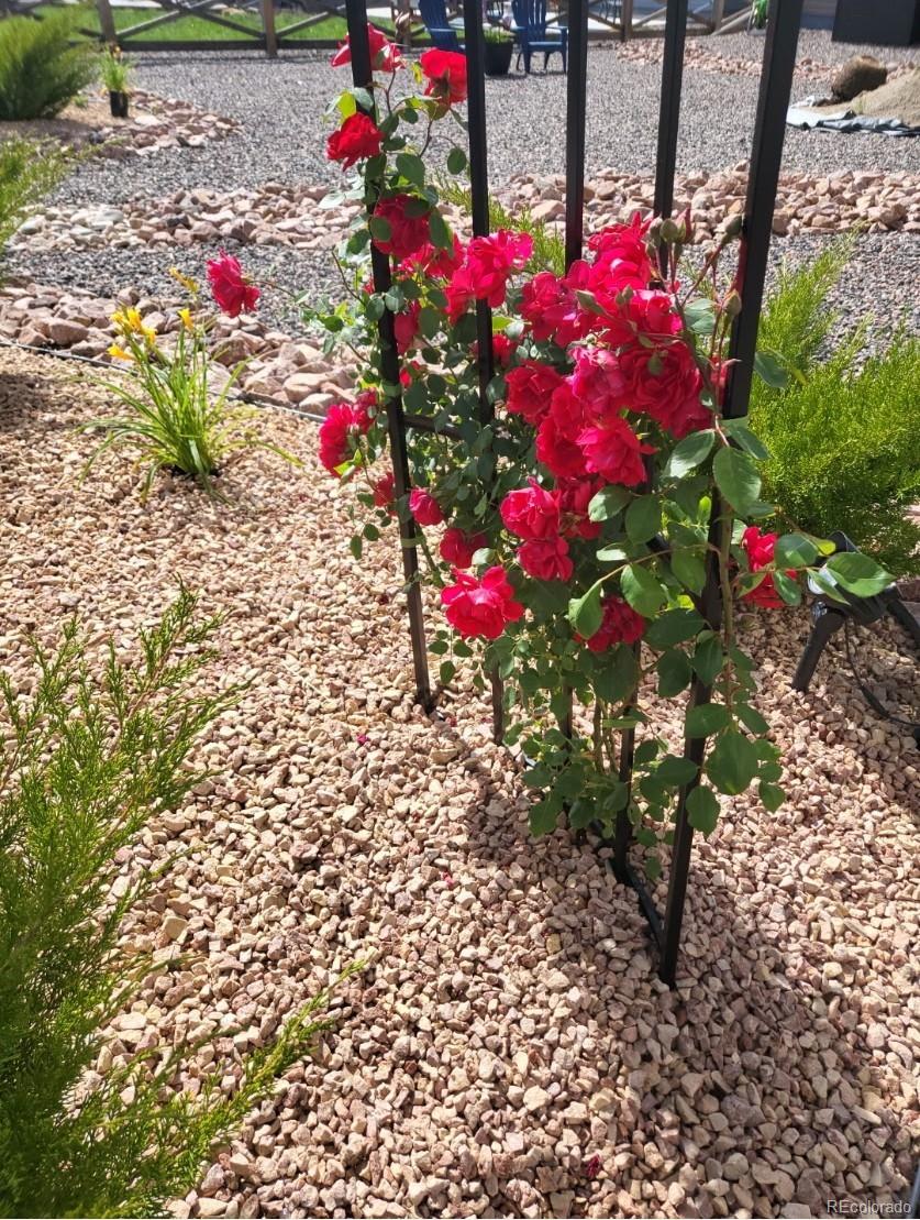 MLS Image #38 for 8875  tranquil knoll lane,colorado springs, Colorado