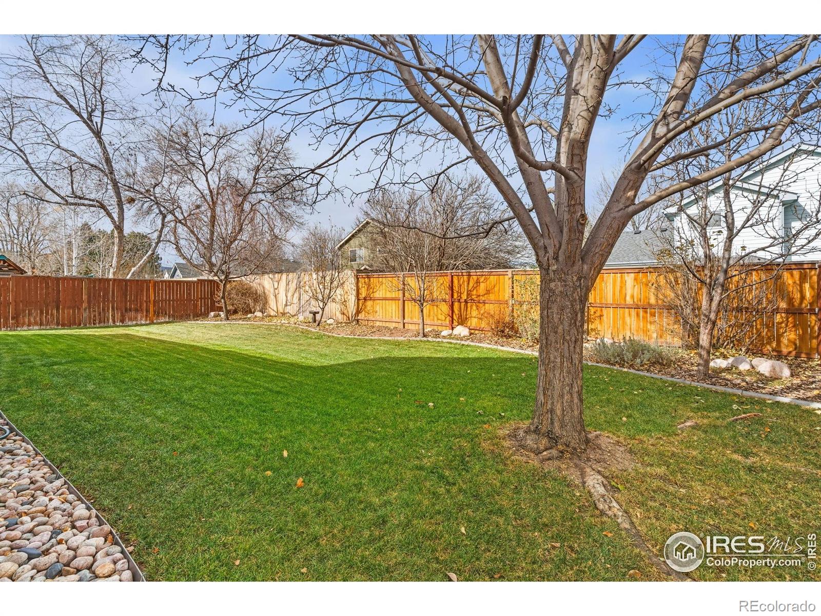 MLS Image #45 for 1418  sanford drive,fort collins, Colorado