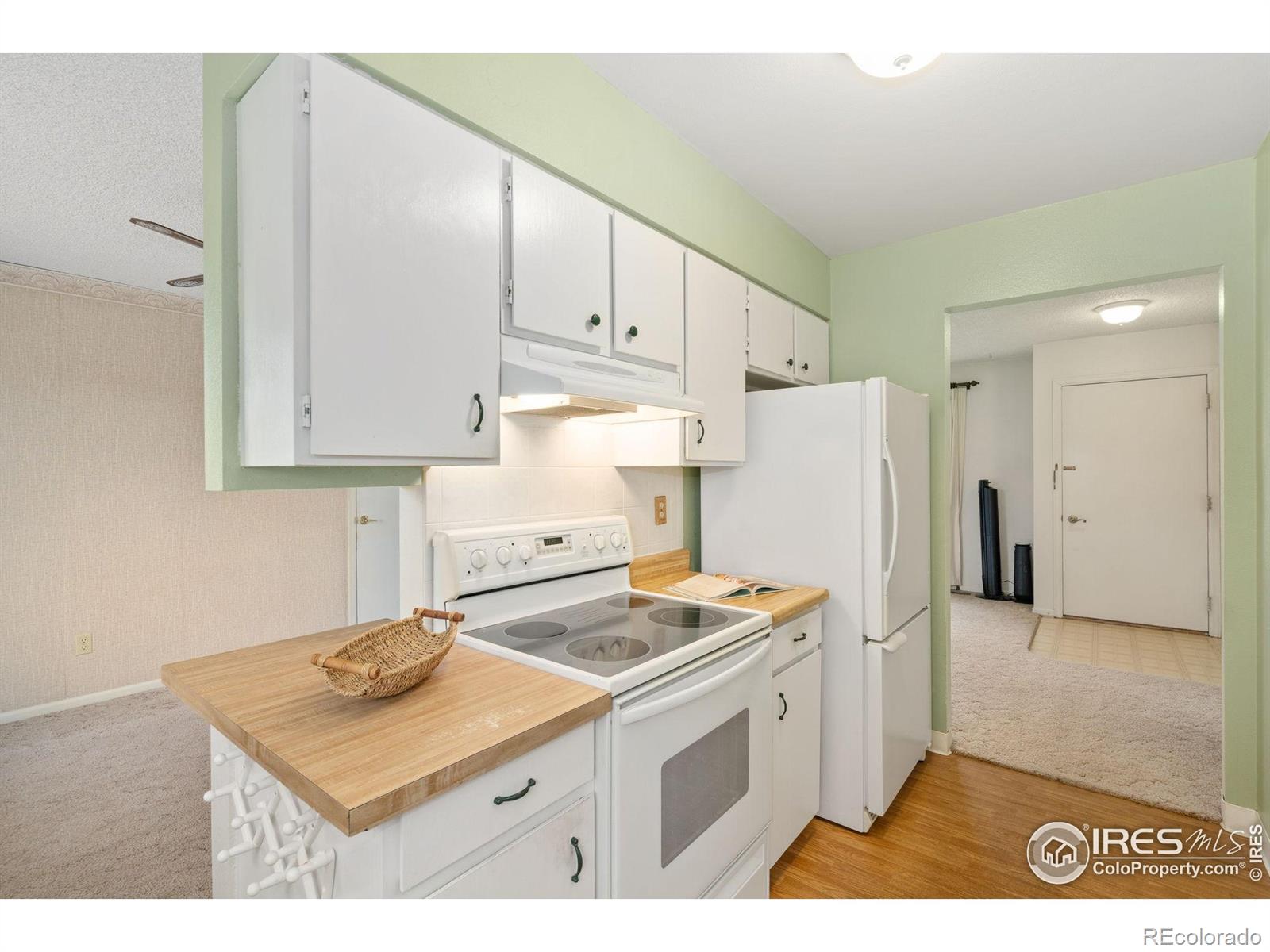 MLS Image #14 for 2921  loch lomond drive,laporte, Colorado