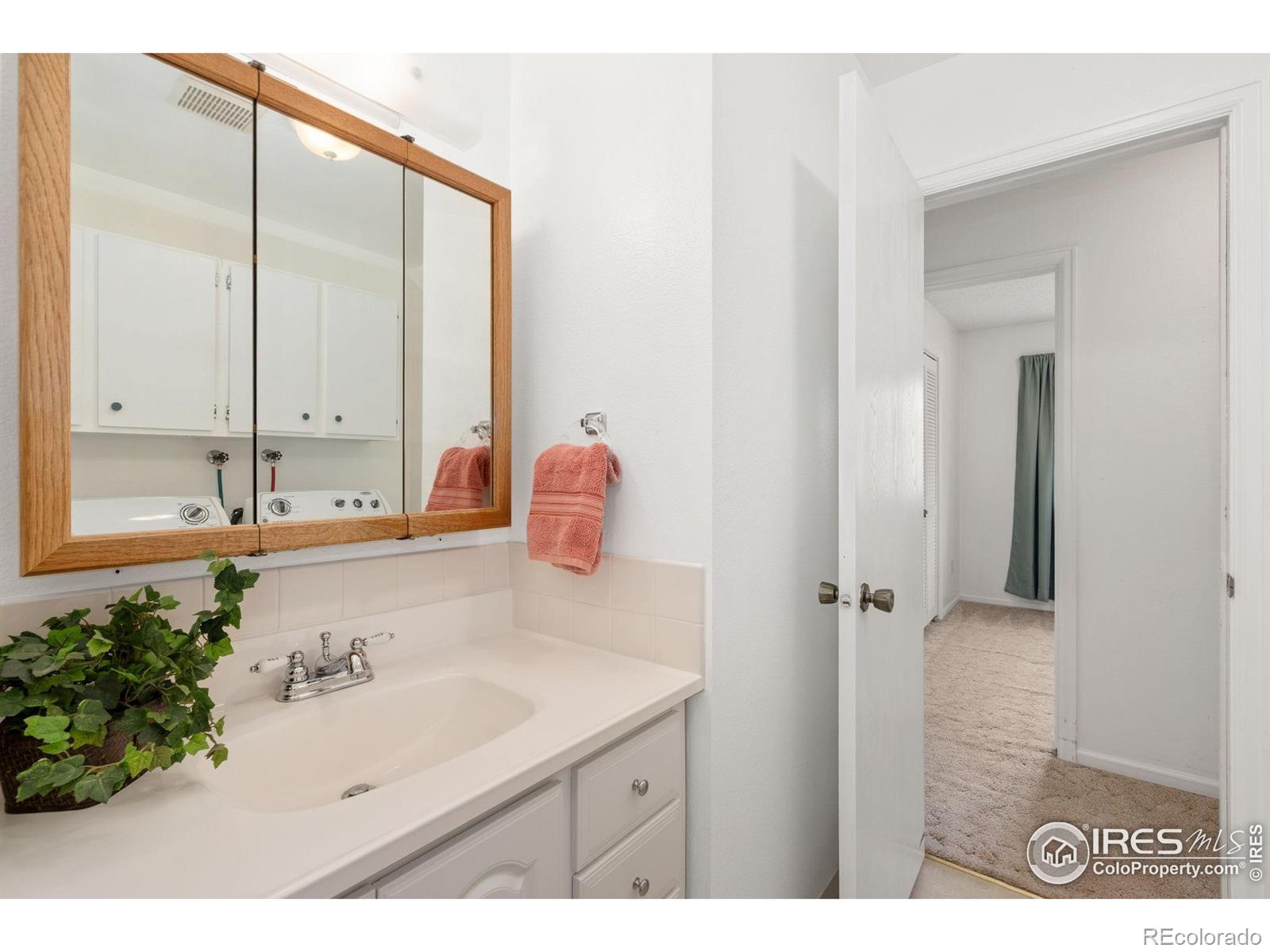 MLS Image #19 for 2921  loch lomond drive,laporte, Colorado