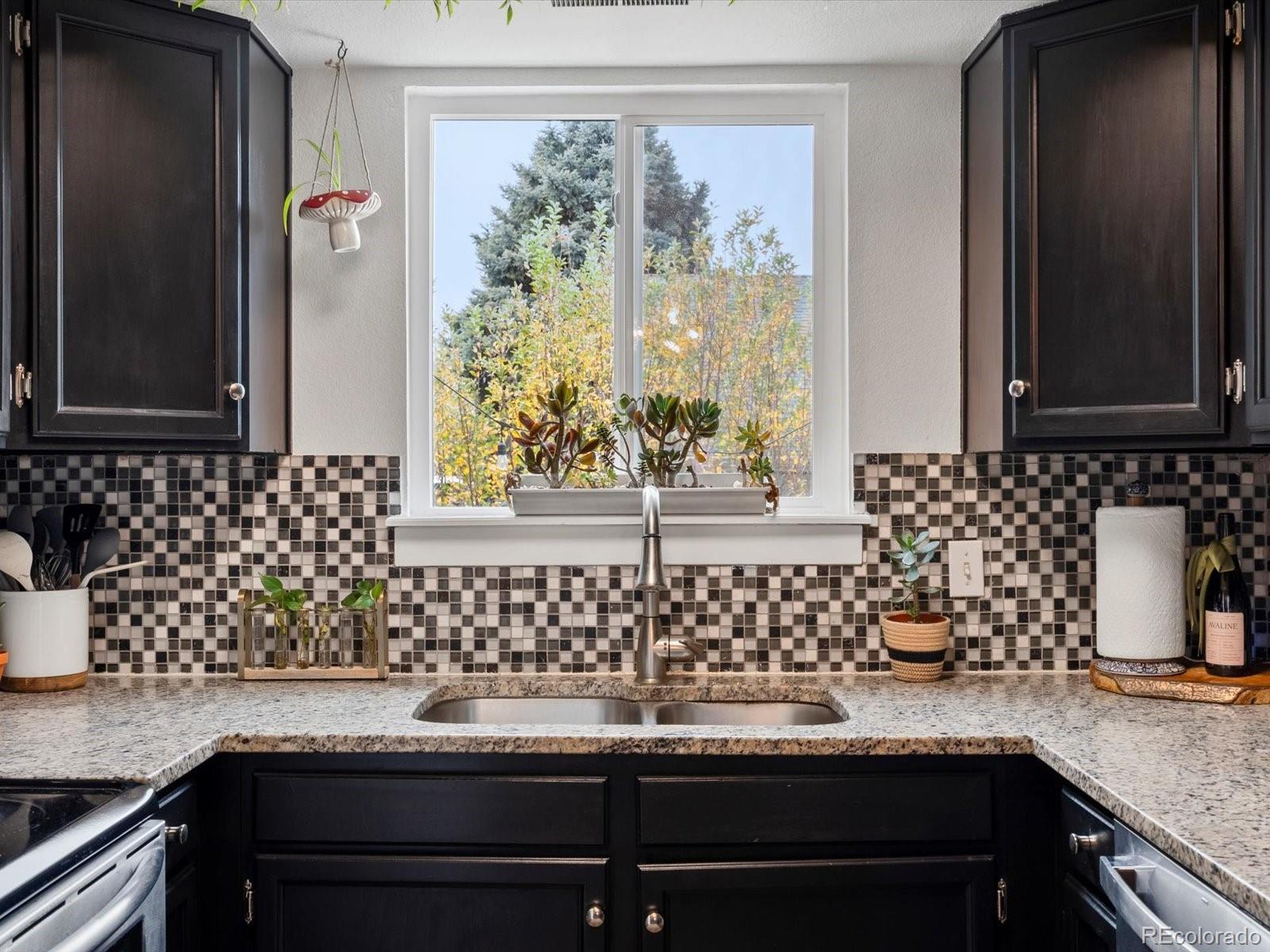 MLS Image #13 for 2135  coronado parkway,denver, Colorado