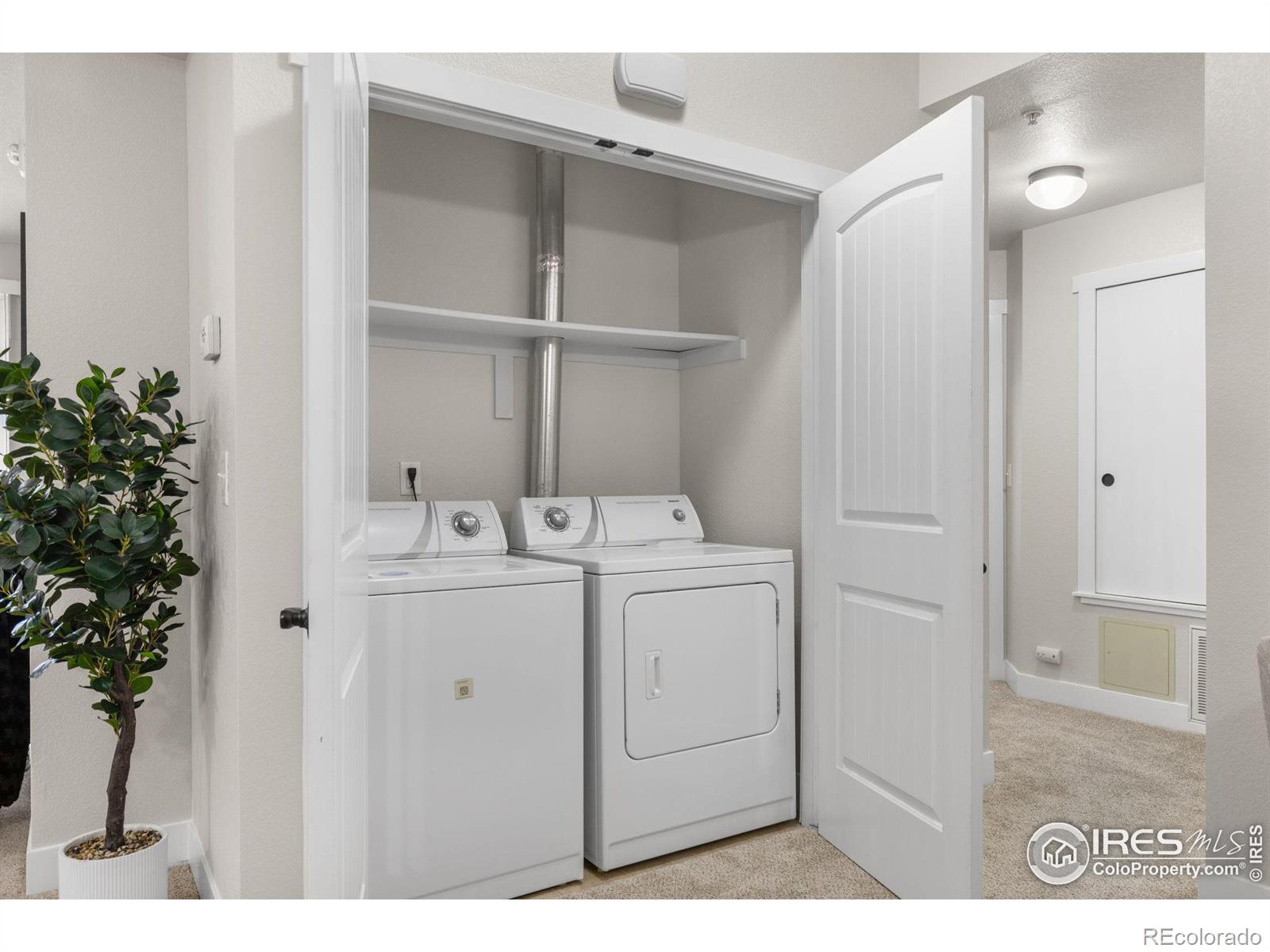 MLS Image #10 for 2445  windrow drive,fort collins, Colorado