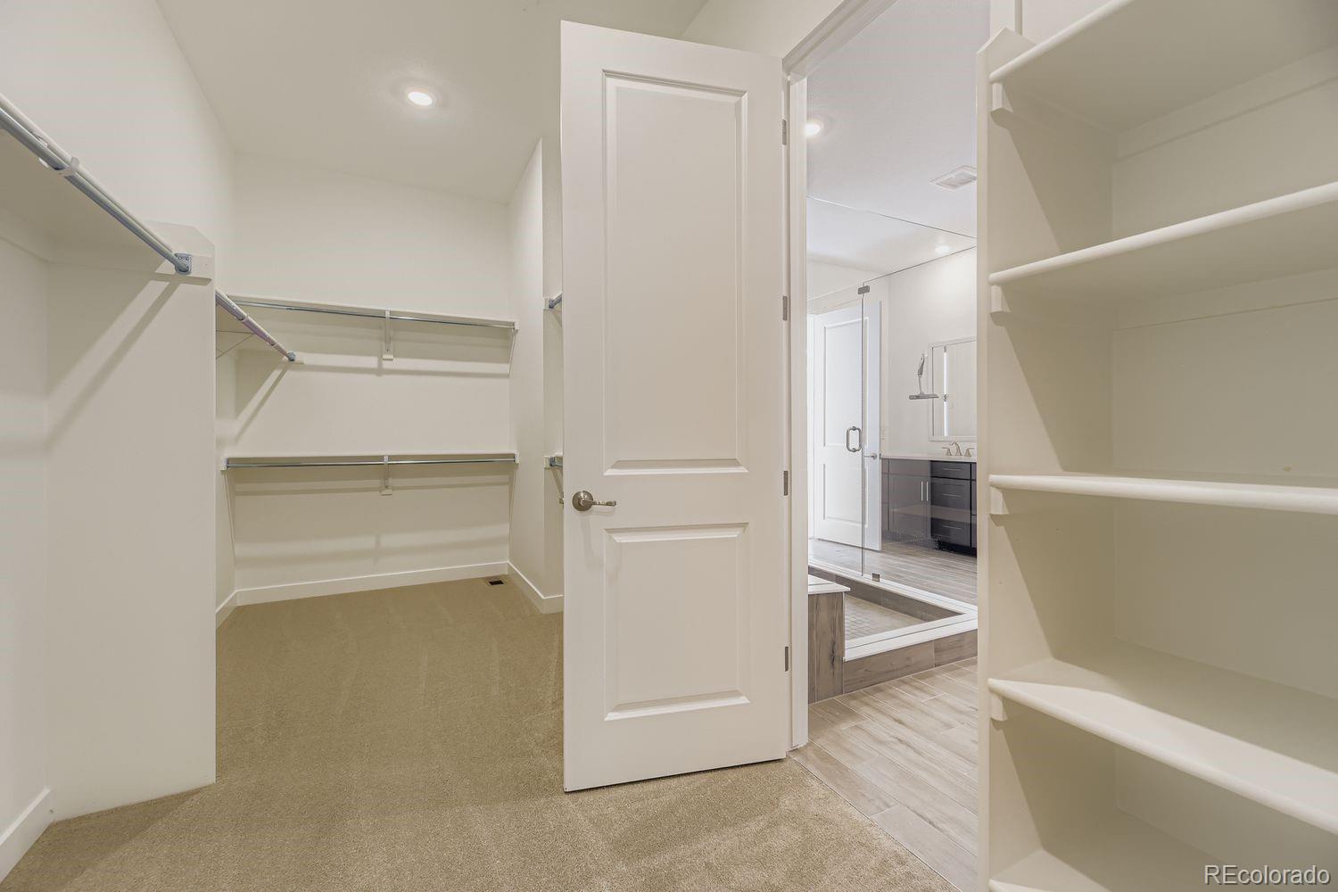 MLS Image #7 for 4226  descent street,castle rock, Colorado