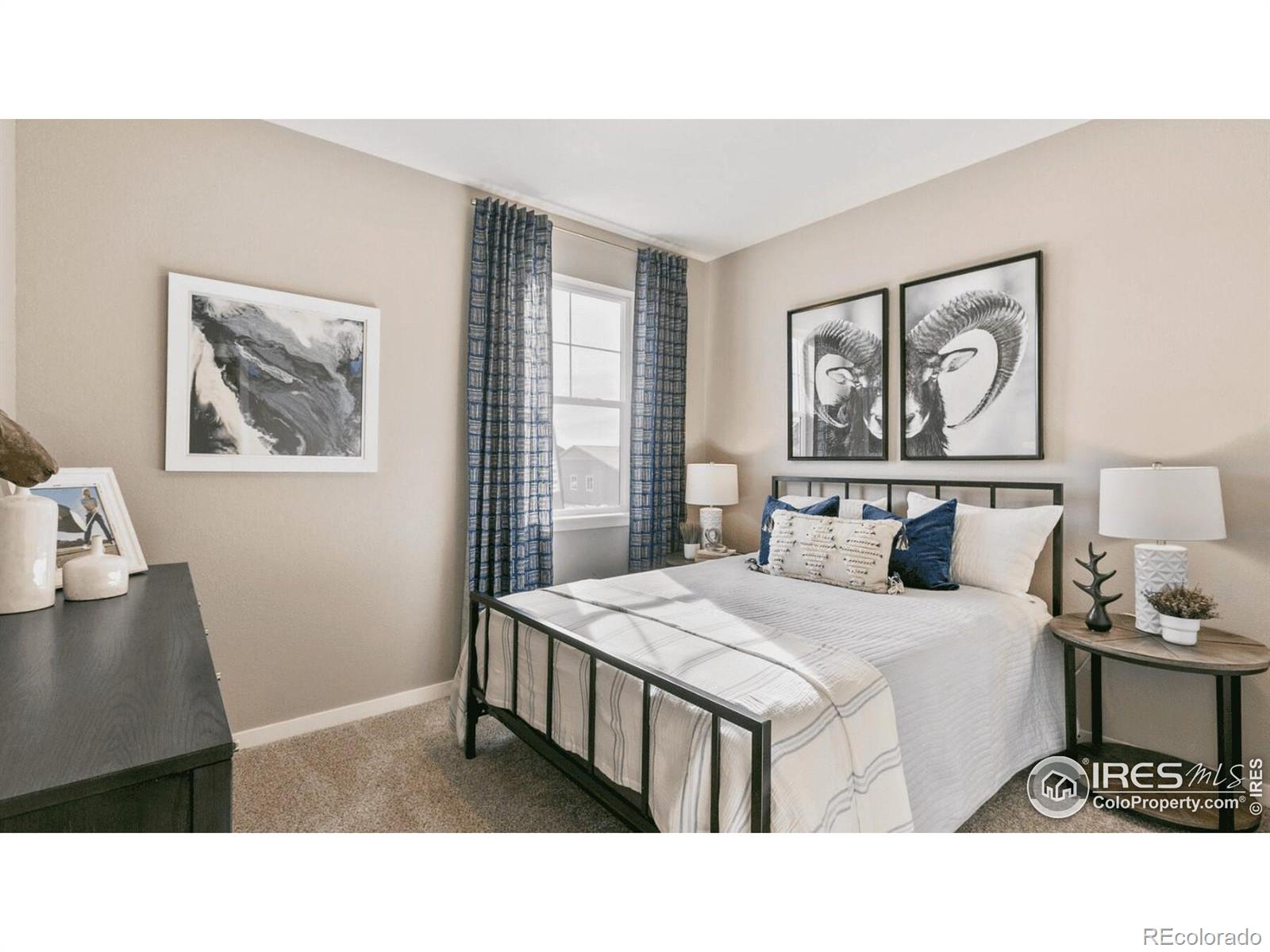 MLS Image #10 for 13948  garnet drive,mead, Colorado