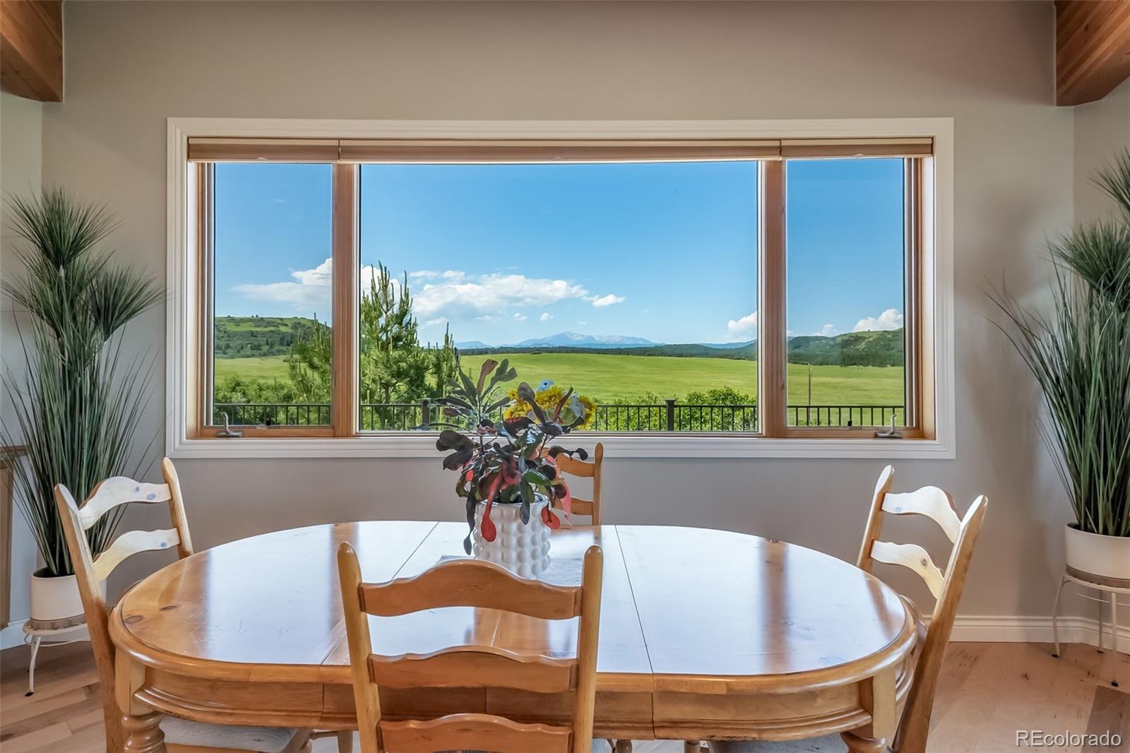 MLS Image #11 for 4586  best road,larkspur, Colorado