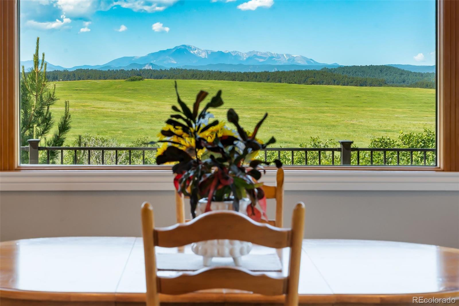 MLS Image #12 for 4586  best road,larkspur, Colorado