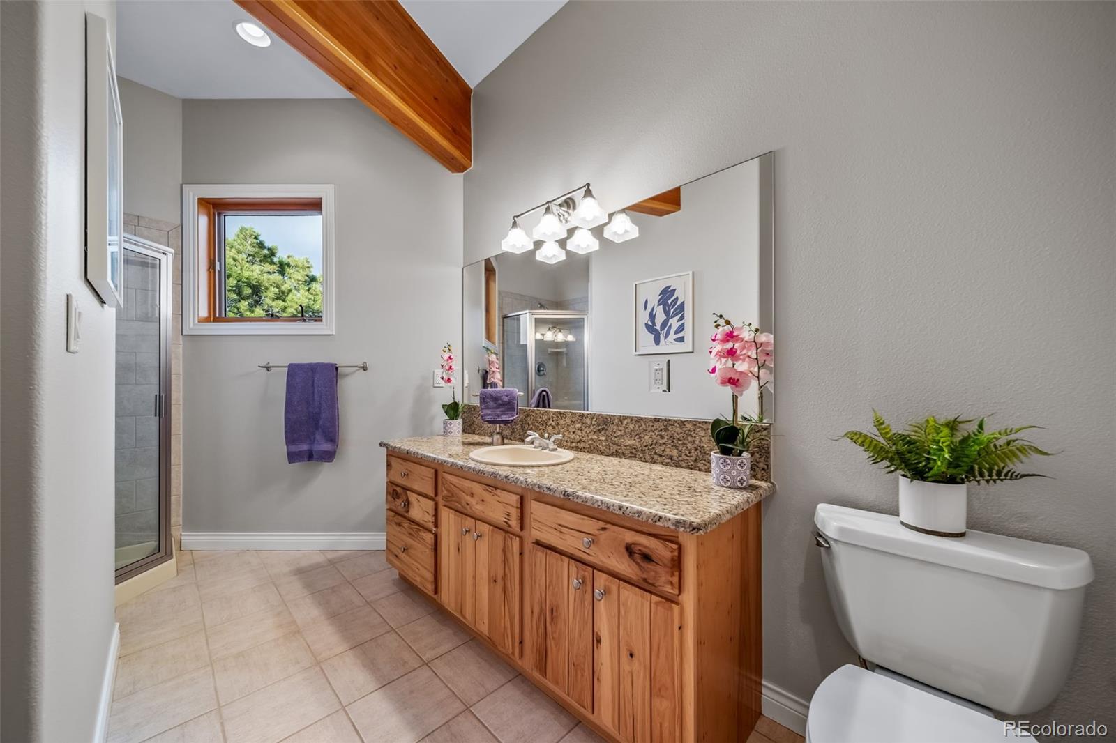MLS Image #17 for 4586  best road,larkspur, Colorado