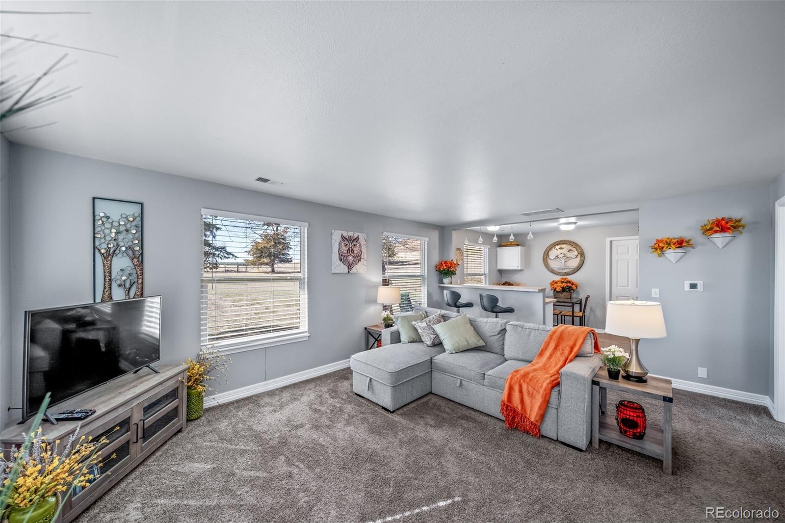 MLS Image #42 for 4586  best road,larkspur, Colorado