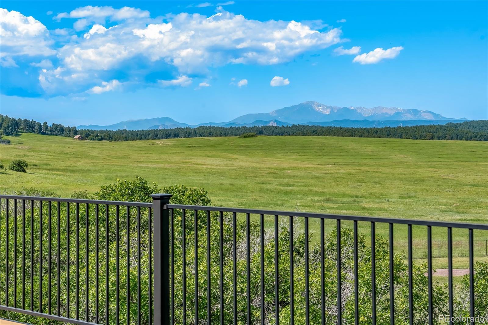 MLS Image #49 for 4586  best road,larkspur, Colorado